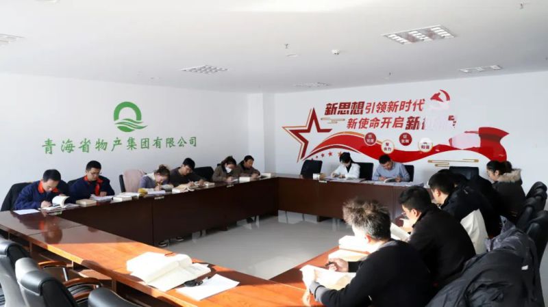 凝心鑄魂學(xué)思想 充電蓄能促提升&mdash;&mdash;集團(tuán)團(tuán)委組織開(kāi)展團(tuán)員和青年主題教育&ldquo;挺膺擔(dān)當(dāng)&rdquo;專題集中學(xué)習(xí)