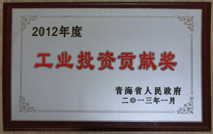 集團榮獲2012年度青海省人民政府&ldquo;工業投資貢獻獎&rdquo;